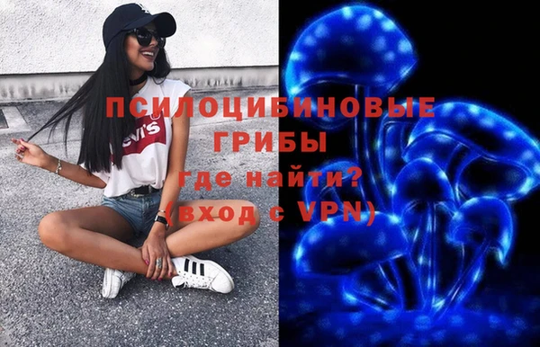 гашиш Заводоуковск